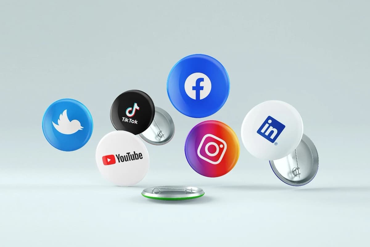 Social Media Growth Chart